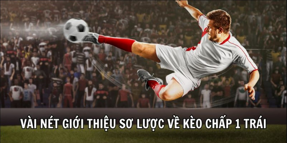 Nên tìm hiểu về đội chơi để tận dụng cơ hội ăn kèo 