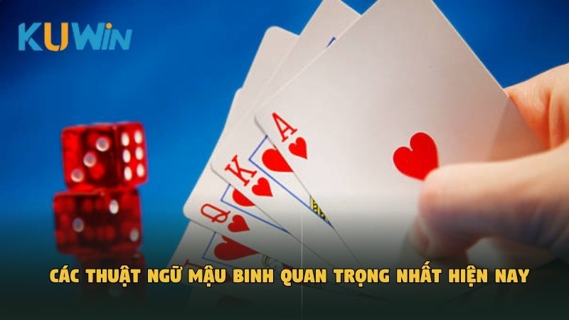 Các thuật ngữ Mậu Binh quan trọng nhất hiện nay
