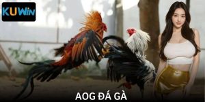 AOG Đá Gà