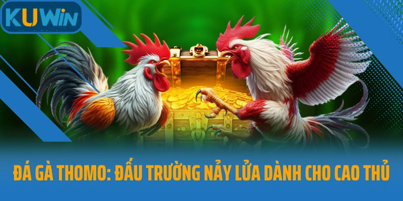 Đá gà Thomo
