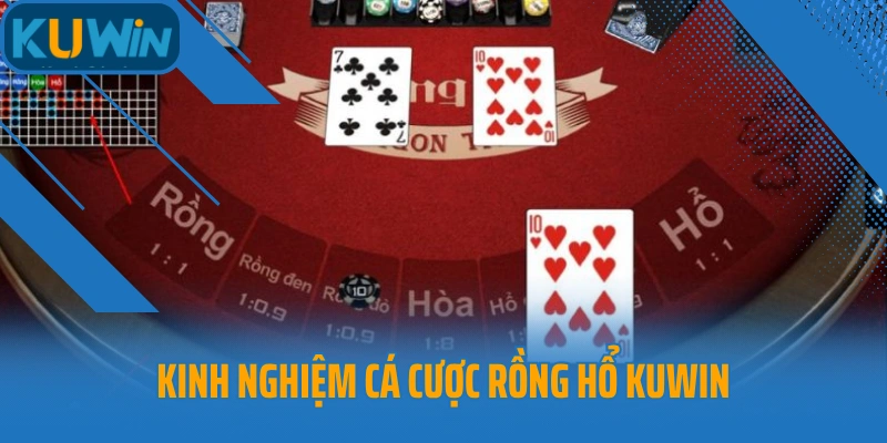 Kinh nghiệm cá cược Rồng Hổ Kuwin để thống trị ván cược
